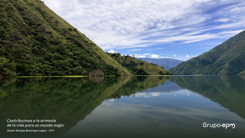 Foto tomada por Javier Restrepo del espejo de agua formado por uno de los embalses rodeado de un bosquee