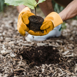 Política ambiental