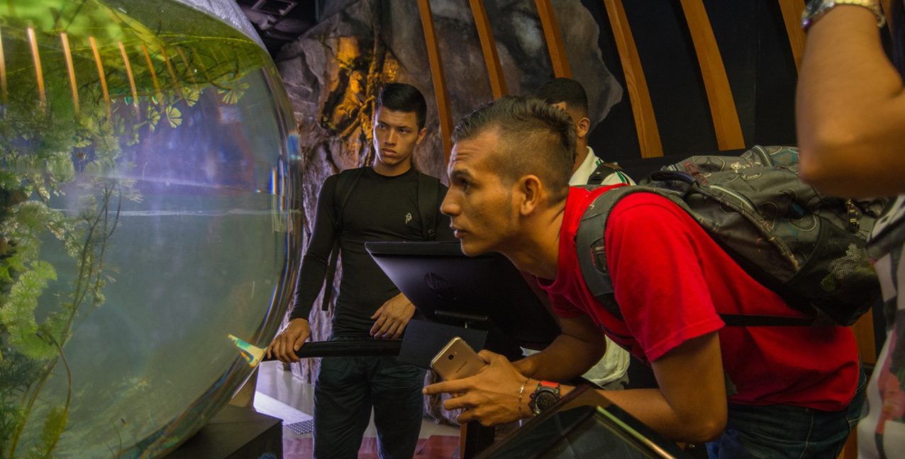 Hombre observando un terrario