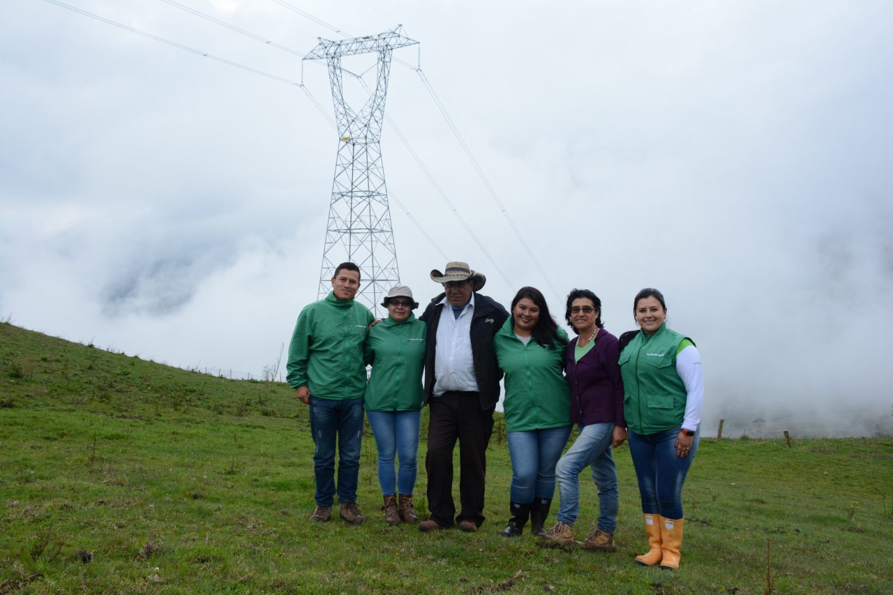 Equipo del proyecto T&D