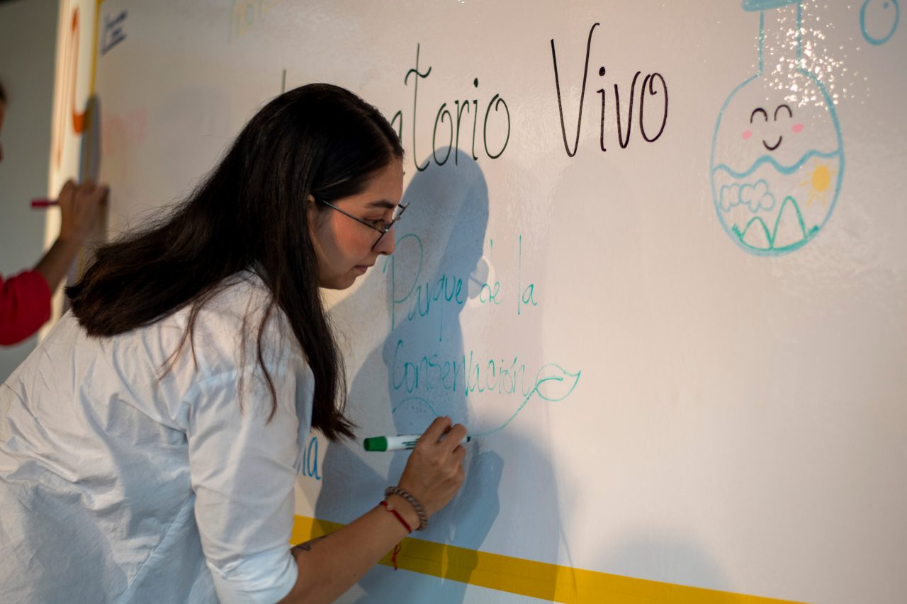 Laboratorio vivo carrusel