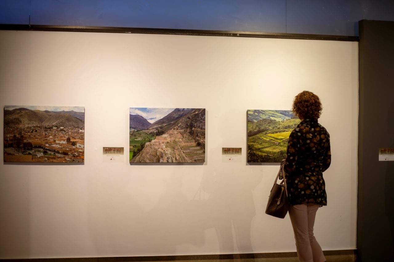 Mujer viendo fotos