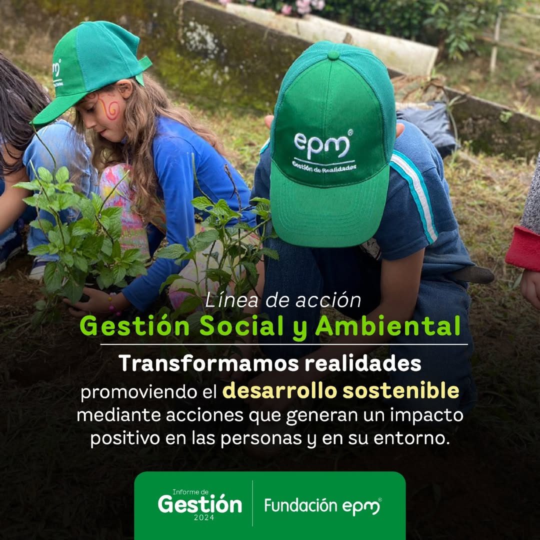 Informe de Gestión 2024