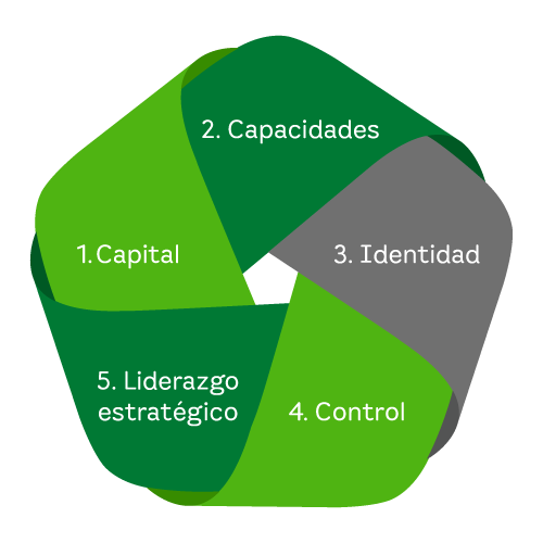 Núcleo corporativo sistema de gobernanza