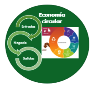 Producción y consumo sostenible/economía circular