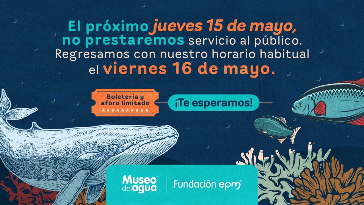 El próximo 15 de mayo no prestaremos servicio. Volvemos el 16 de mayo