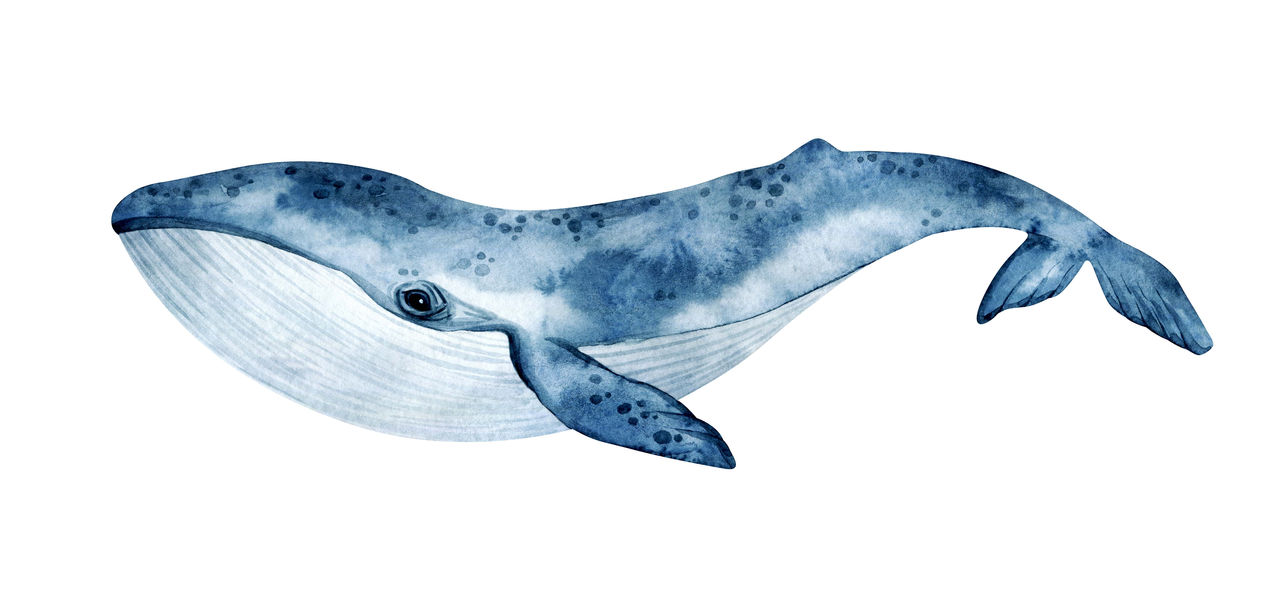 ballena azul