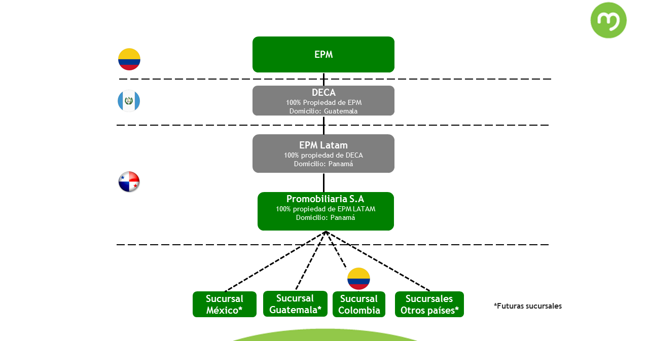 Gráfica estructura societaria