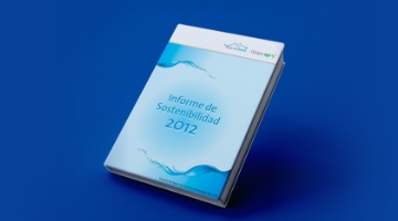 Informes de sostenibilidad 2012