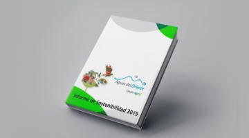 Informes de sostenibilidad 2015