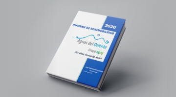 Informes de sostenibilidad 2020