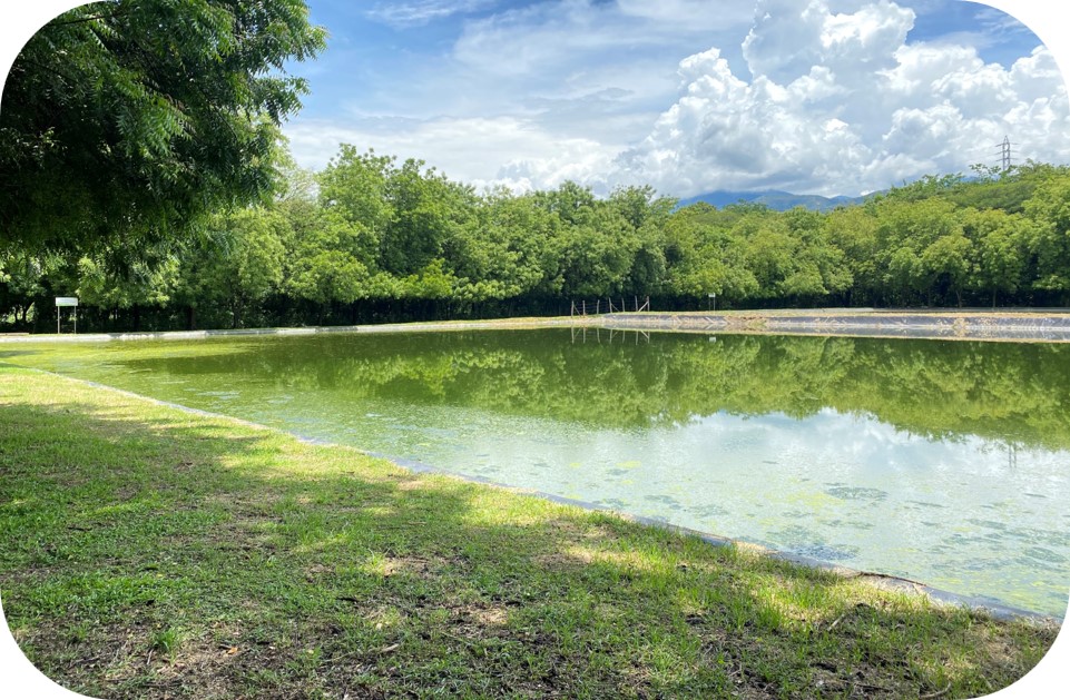 Laguna