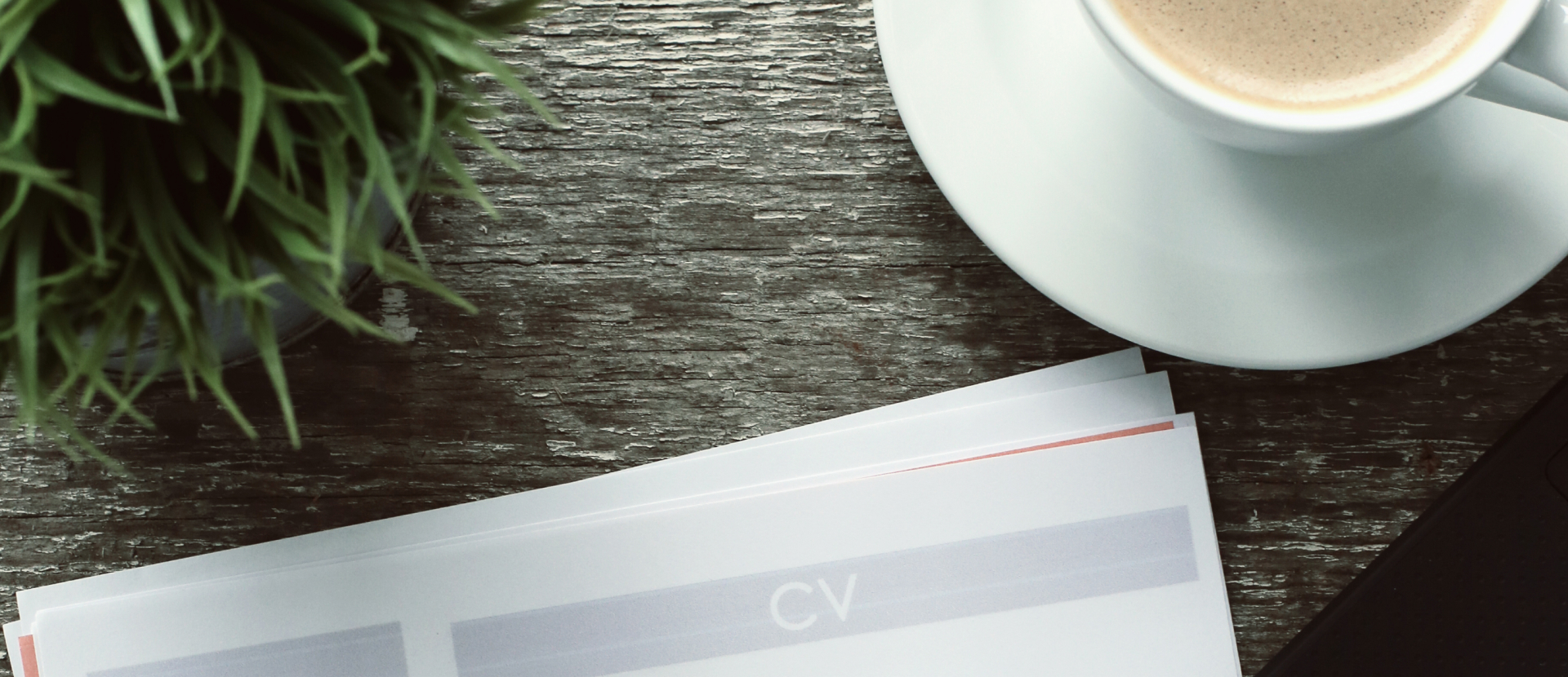 Banner Formatos corporativos