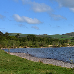 Fotografía de lago rodeado de vegetación