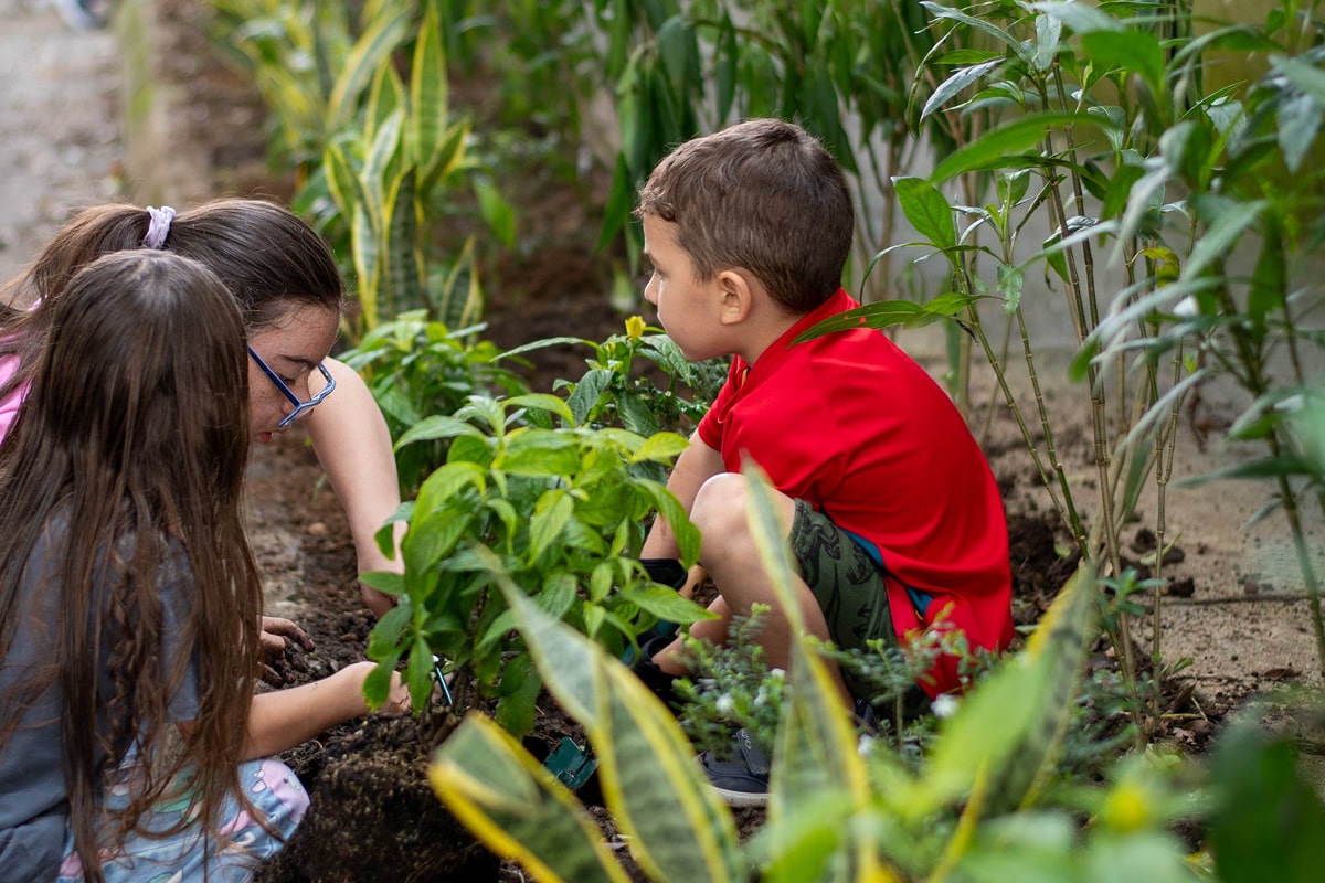 Niños jugando en un jardín