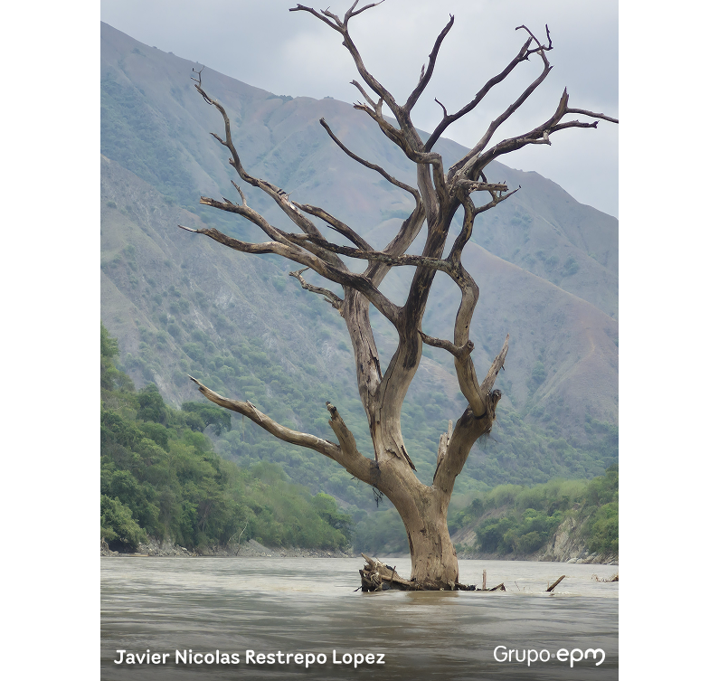 Mención especial a fotografía del concurso de fotografía 2026