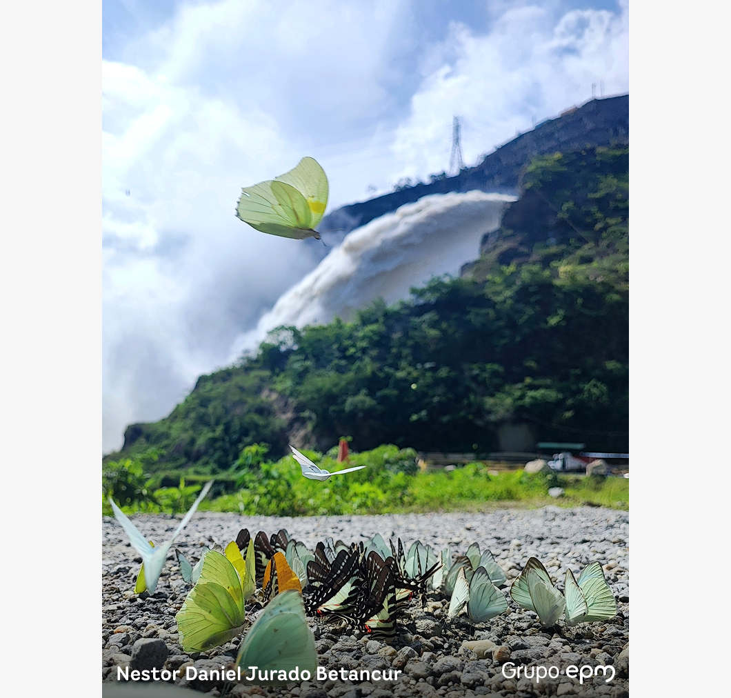 Fotografía ganadora 1er puesto del concurso de fotografía 2026